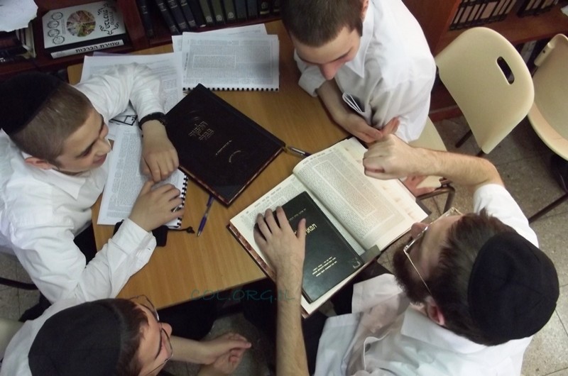 צעירי ליובאוויטש: צמיחה מרשימה