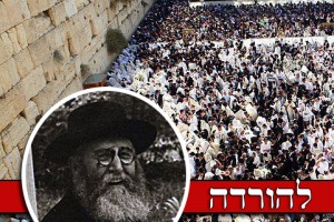 הרבי הריי