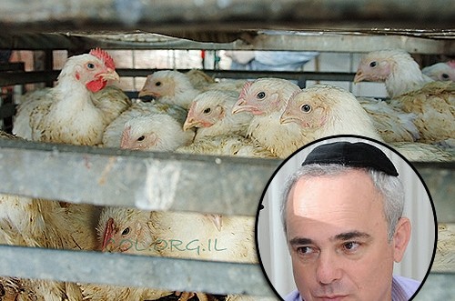 שר האוצר חתם על הוזלה של מאות מוצרים; גם הבשר יוזל