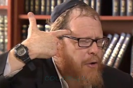 הרב החב