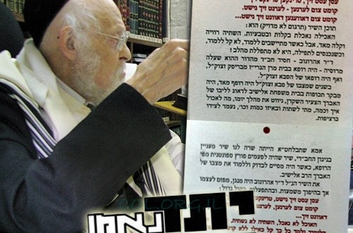 יתד נאמן: 