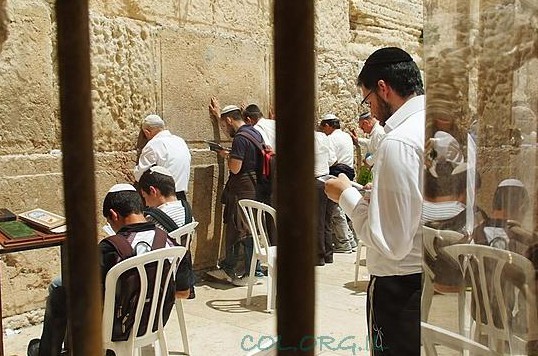 מסמך: 