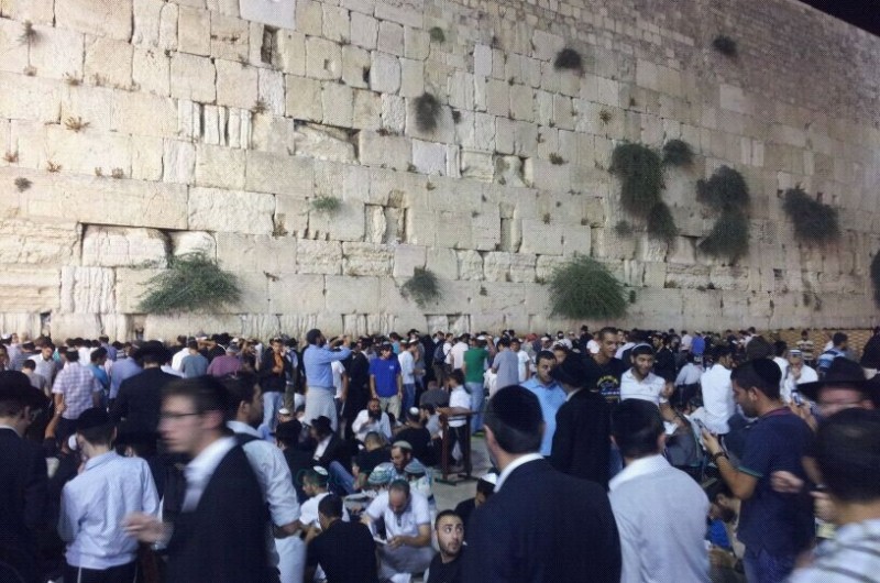 תמונת הלילה ● שריד בית מקדשינו 