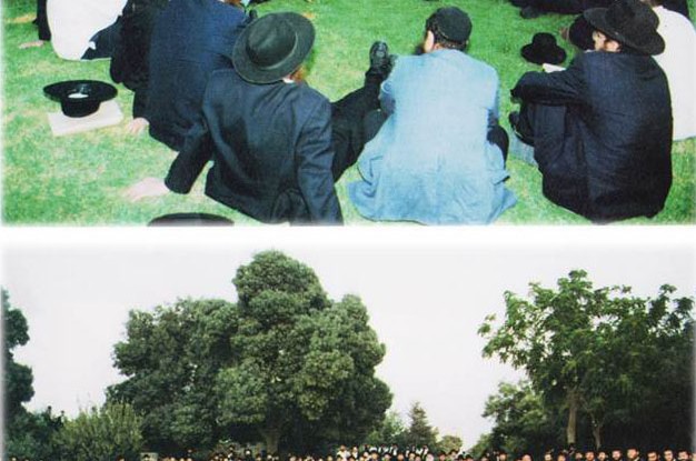 חדש בועידת המחנכים: סדר ניגונים בנאות דשא