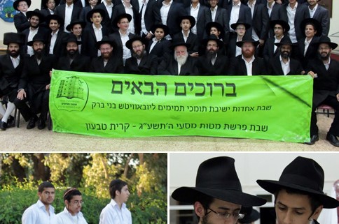 תות