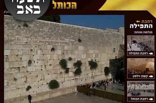 הַבִּיטָה וּרְאֵה אֶת חֶרְפָּתֵנוּ ● שידור-חי מרחבת הכותל המערבי 