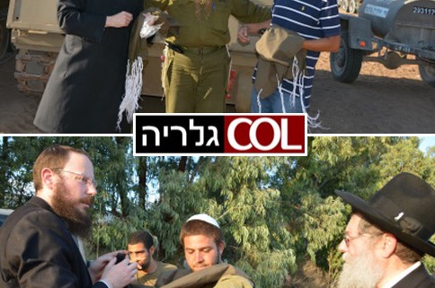פעילי חב