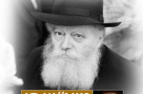החלום המסעיר של הרב נוטיק: הסיפור המלא ● צפו בוידאו 
