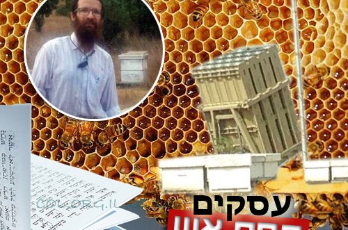 איך מתמודדים העסקים של אנ