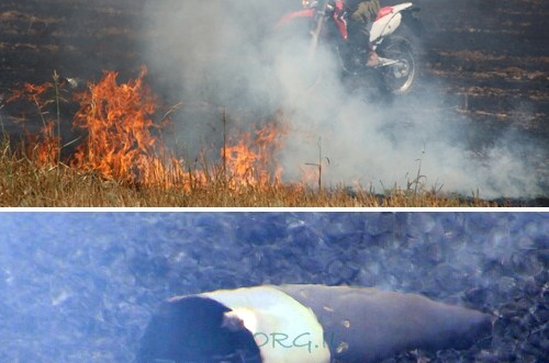 שגרה בשדרות: טיל נופל, אין נפגעים ● תיעוד מיוחד 
