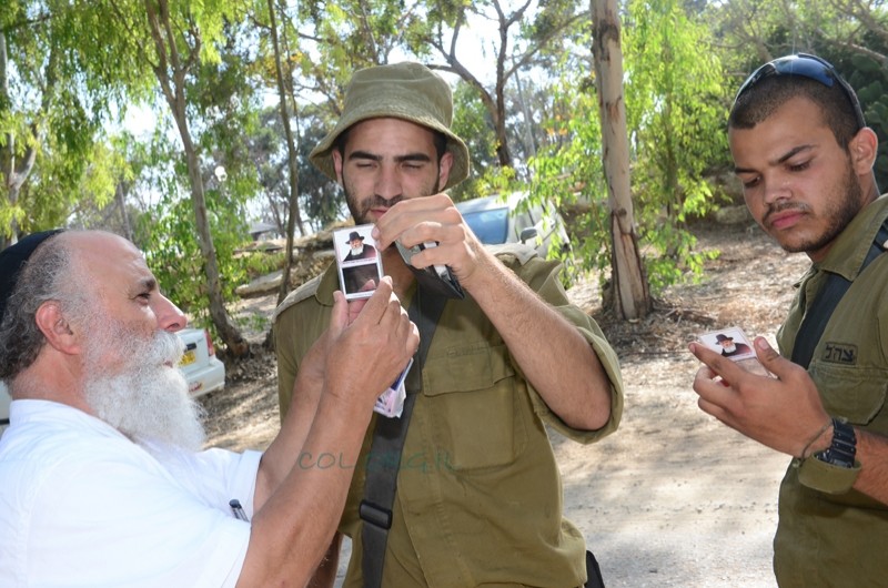 תמונת היום