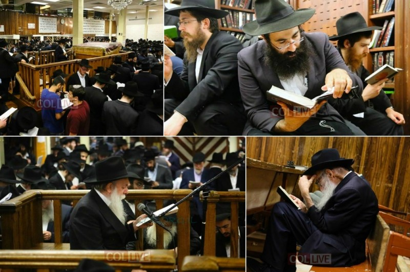 עַל-זֶה, הָיָה דָוֶה לִבֵּנוּ > קינות בבית-חיינו 770 ● צפו בגלריה 