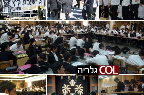 ליובאוויטש לעבט! כ-300 
