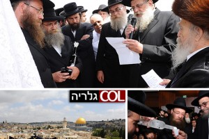 ירושלים: חתונת כהן-צירקינד ● צפו בגלריה