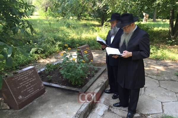 תמונת היום 