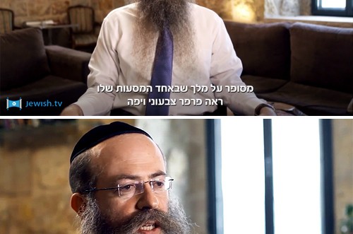 המלך, הצייר והפרפר ● ממתק לשבת עם הרב וילהלם. צפו 