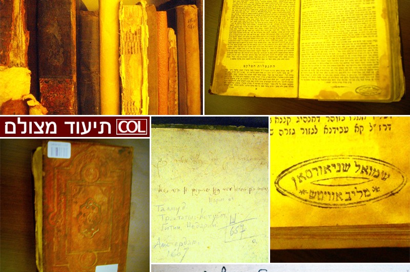 הצצה אל ספרי ספריית ליובאויטש במוסקבה ● תיעוד