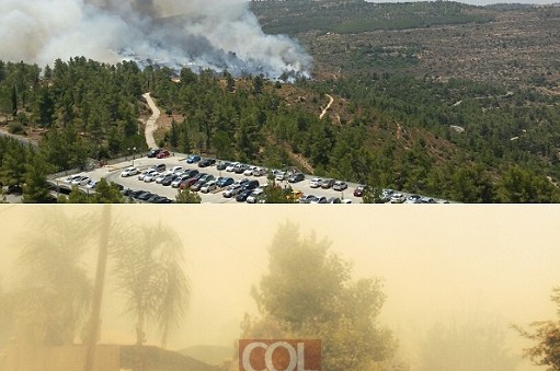 שריפת ענק באיזור ירושלים: תושבים פונו מבתיהם. צפו 