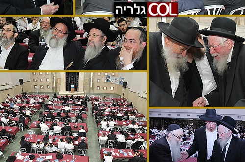 המעמד התורני של ליובאוויטש ● סיקור מקיף, 50 רגעים 