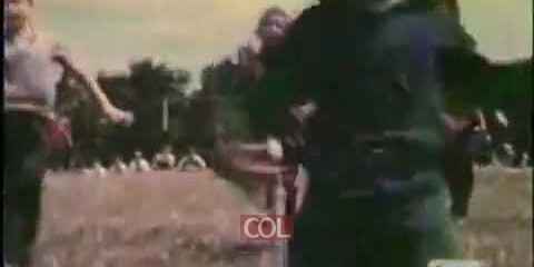 הרבי במחנה ישראל