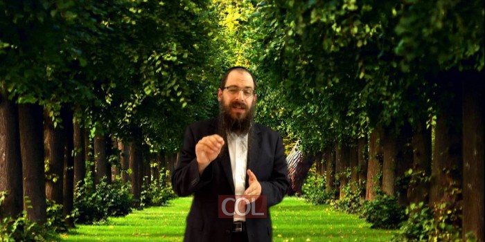 איך מעוררים מוטיבציה