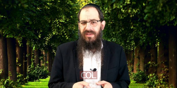 006 איך הם יתמודדו