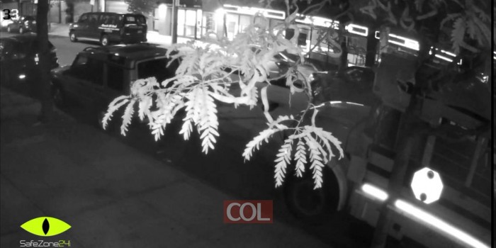 Brooklyn, Crown Heights Burglary August 15 2016