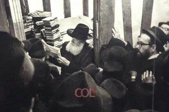 מה בתמונה?