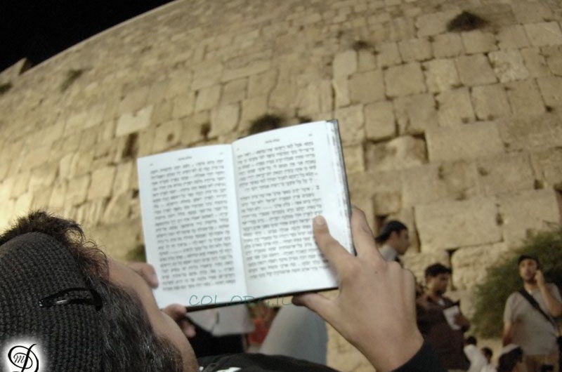 שנאת חינם? מה פתאום?!  ● עמדה שבועית 