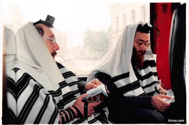 גלרייה שניה 