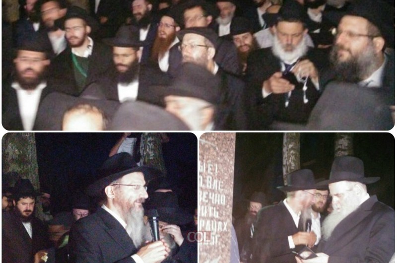 השלוחים בליאדי ● תיעוד ראשוני