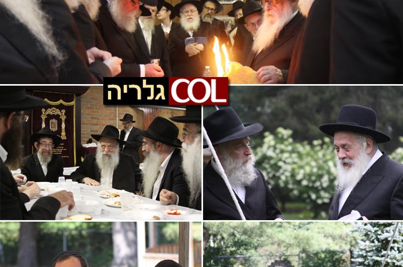 גן ישראל ניו יורק: שבת מרוממת בירחי כלה ● גלריה