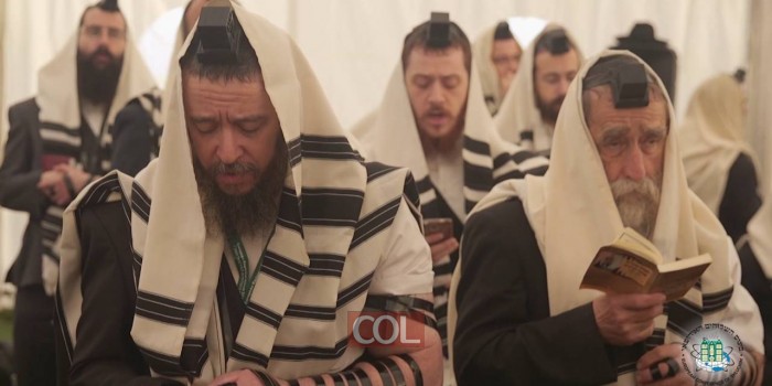 Kinus