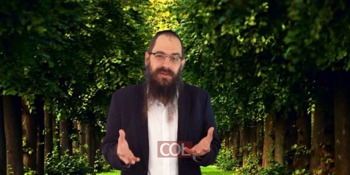 8   שלושה קוים להתחלה טובה