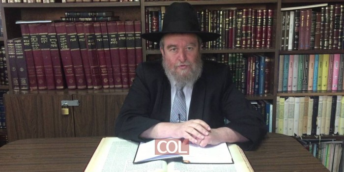 עשה לך רב - אליעזר ברוד