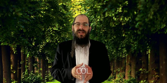 009 האם מתחיל כאן למדן