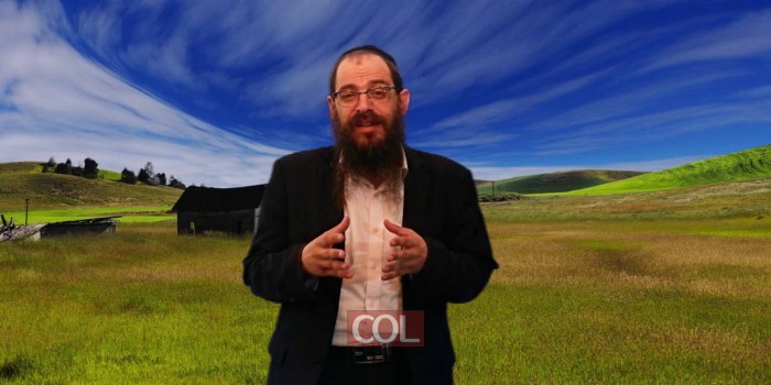 011 טוב נמשך לטוב