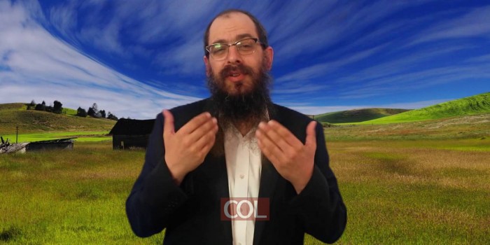 מנחם 13