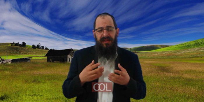 016 להרים או להטביע