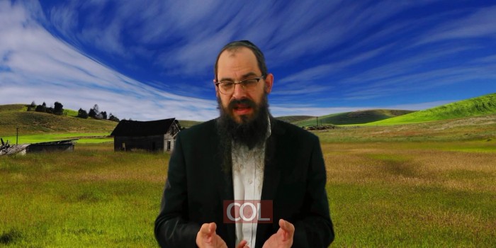 017 החוקר הקטן   הרב מנחם הלפרין   אור החינוך