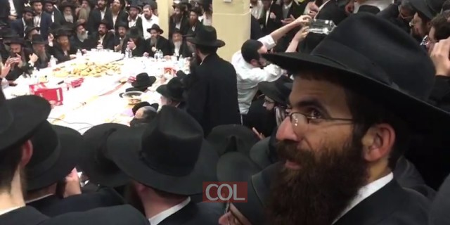הרבי שליטא אוהבים אותך כולם