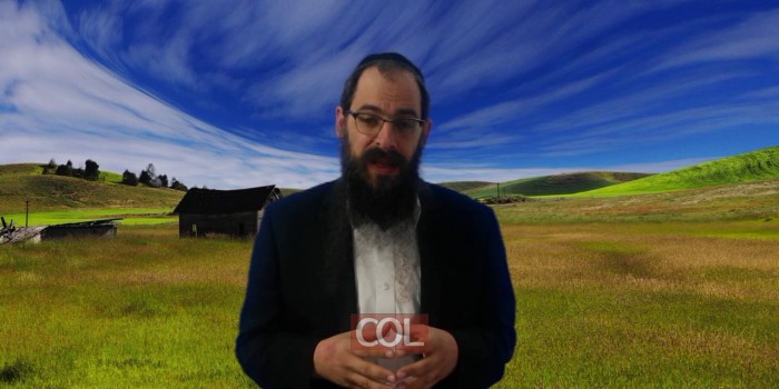 019 גבול שלילי או מדריך   הרב מנחם הלפרין   אור החינוך