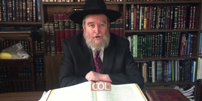 עשה לך רב - הרב אליעזר ברוד