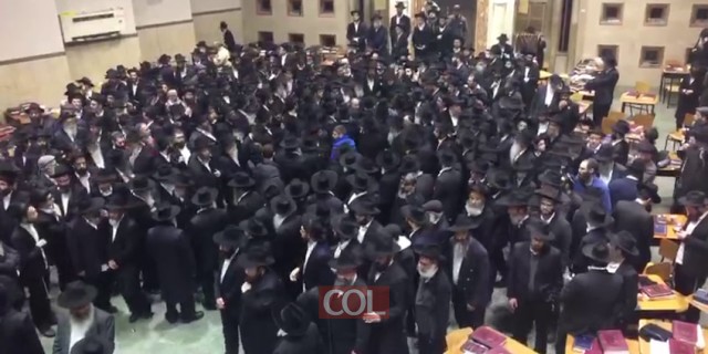 WhatsApp Video 2017 01 15 at 18 08 07