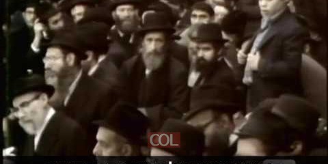 מה לומדים מטו בשבט