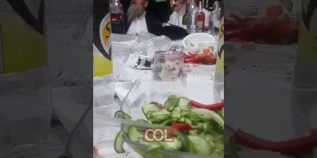הרב בדיחי על השופר של הרבי