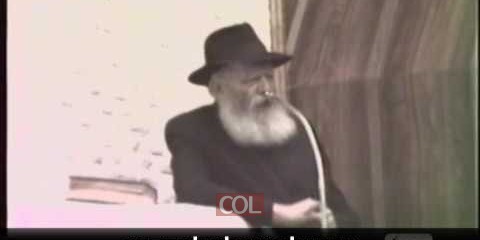וידאו יומי כ אייר