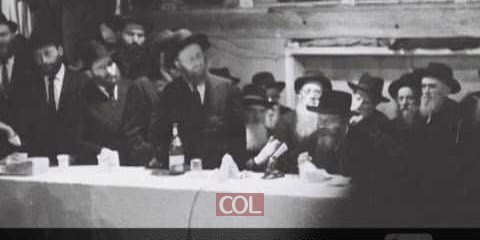וידאו יומי- אם הקבה רוצה שנבחר בטוב,  מדוע הוא מאפשר לנו לבחור ברע