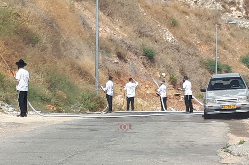 מתגייסים למען נפגעי השריפה בצפת