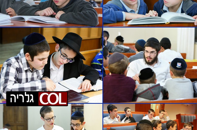 הרואה חיילי צ
